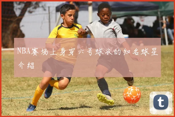 NBA赛场上身穿六号球衣的知名球星介绍