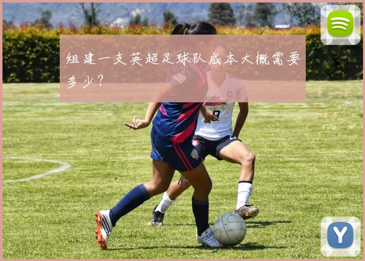 组建一支英超足球队成本大概需要多少?