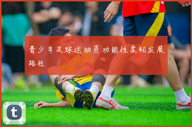 青少年足球运动员功能性柔韧发展路径
